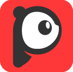 PDF大师